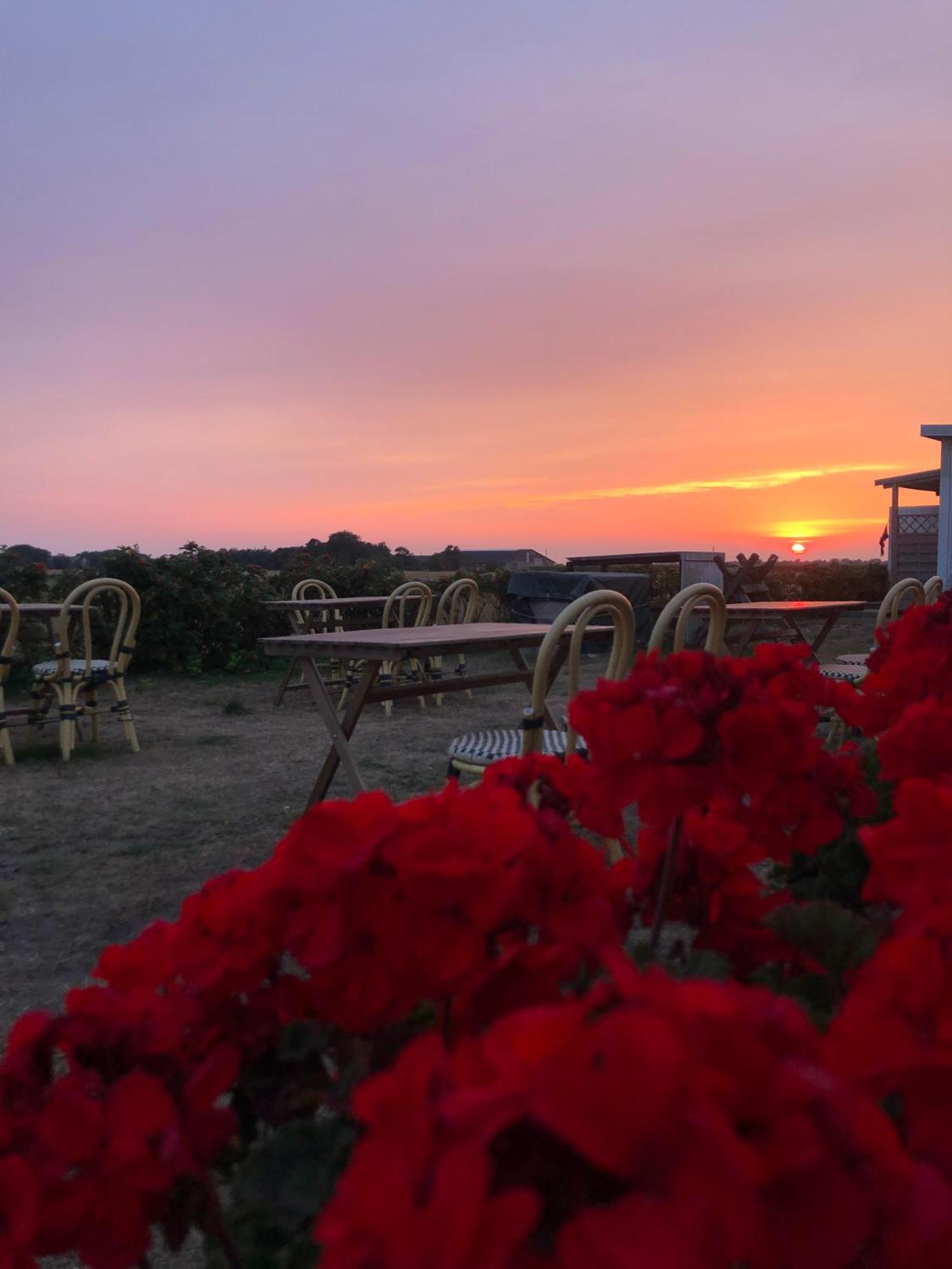 Kvarnen Pensionat Och Restaurang Falkenberg Buitenkant foto